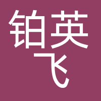 铂英飞