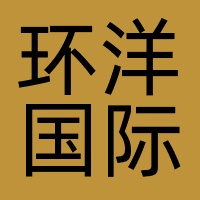 环洋国际