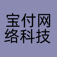 宝付网络科技(上海)有限公司