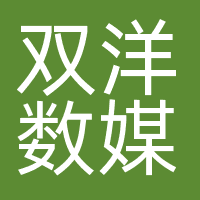 双洋数媒