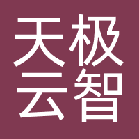 天极云智