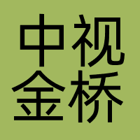 中视金桥