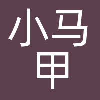 小马甲