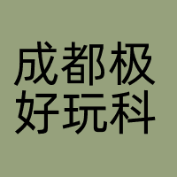 成都极好玩科技