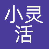 小灵活（北京）科技有限公司