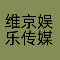 维京娱乐传媒（珠海）有限公司