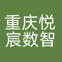 重庆悦宸数智科技有限公司