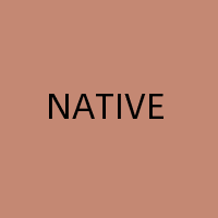 Native Translator