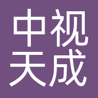中视天成