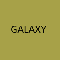 Galaxy Store