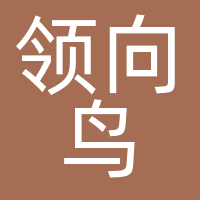 西安领向鸟文化传播有限公司