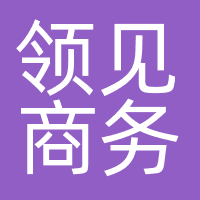 深圳市领见商务服务有限公司