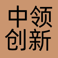 中领创新