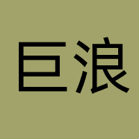 深圳市巨浪网络传媒有限公司