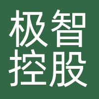 极智控股（深圳）有限公司