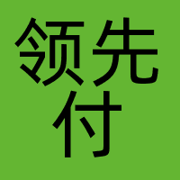 深圳领先付科技有限公司