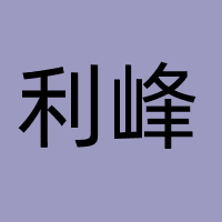 内蒙古利峰信息技术有限公司
