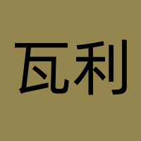 瓦利网络科技（上海）有限公司