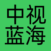 中视蓝海