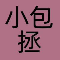 广州小包拯科技有限公司