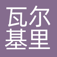 深圳瓦尔基里信息科技有限公司