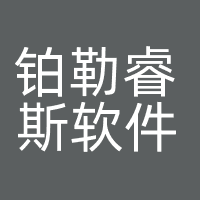铂勒睿斯软件（厦门）有限公司